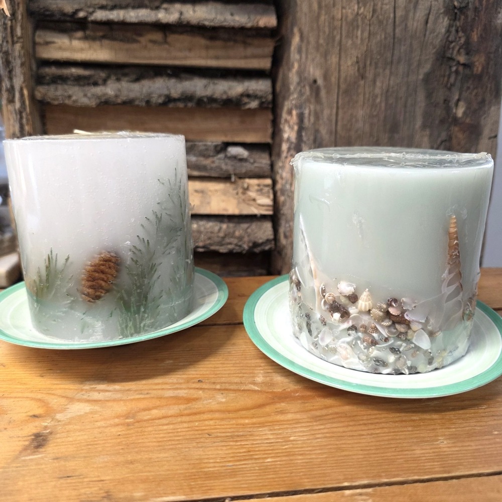 Vtg Nature Pine & Sea Shells Candle Set & Shelley‎ Art Deco Plates Set of 4
